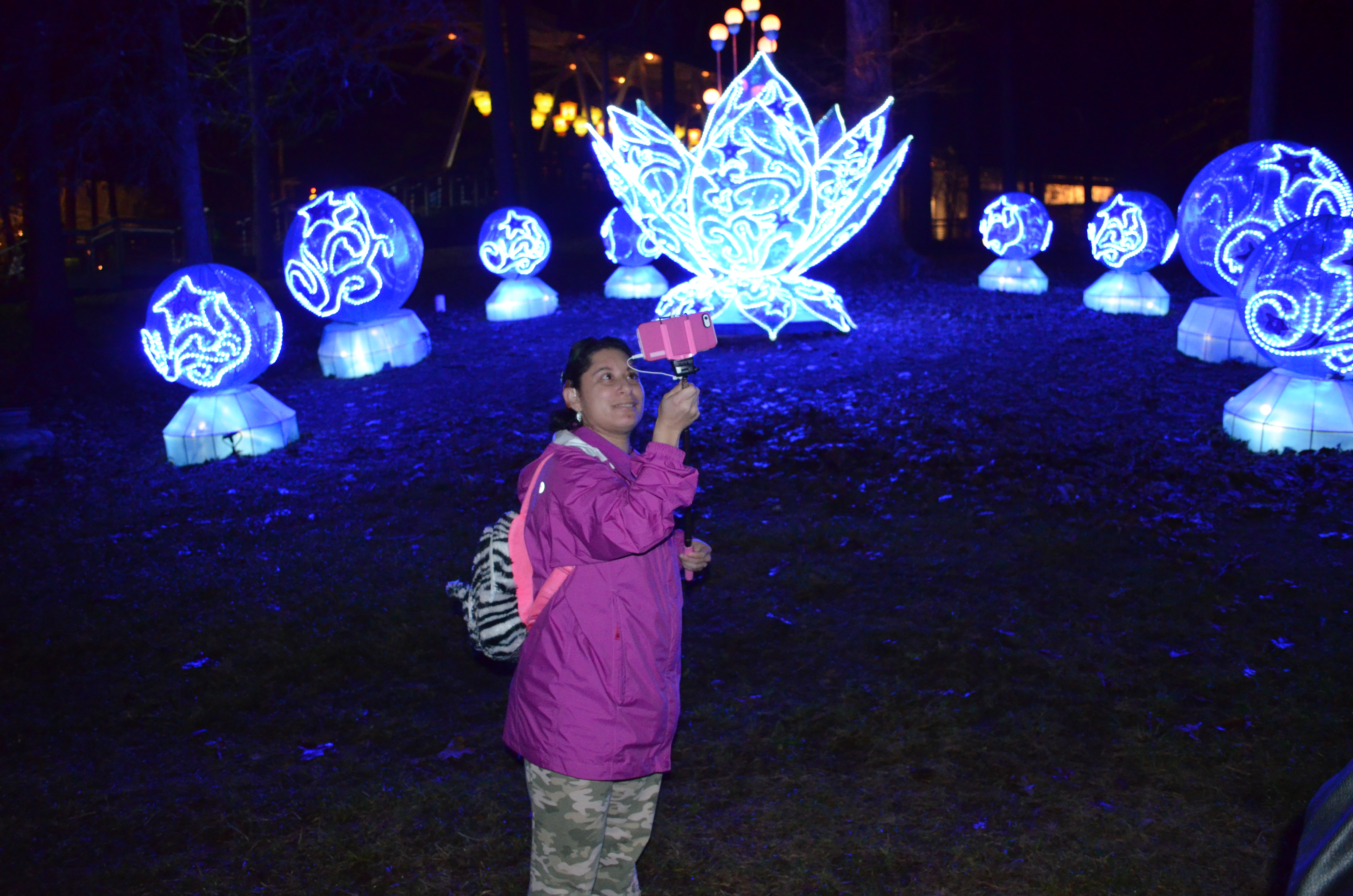 ./2015/33 - Chinese Lantern Festival/DSC_0643.JPG